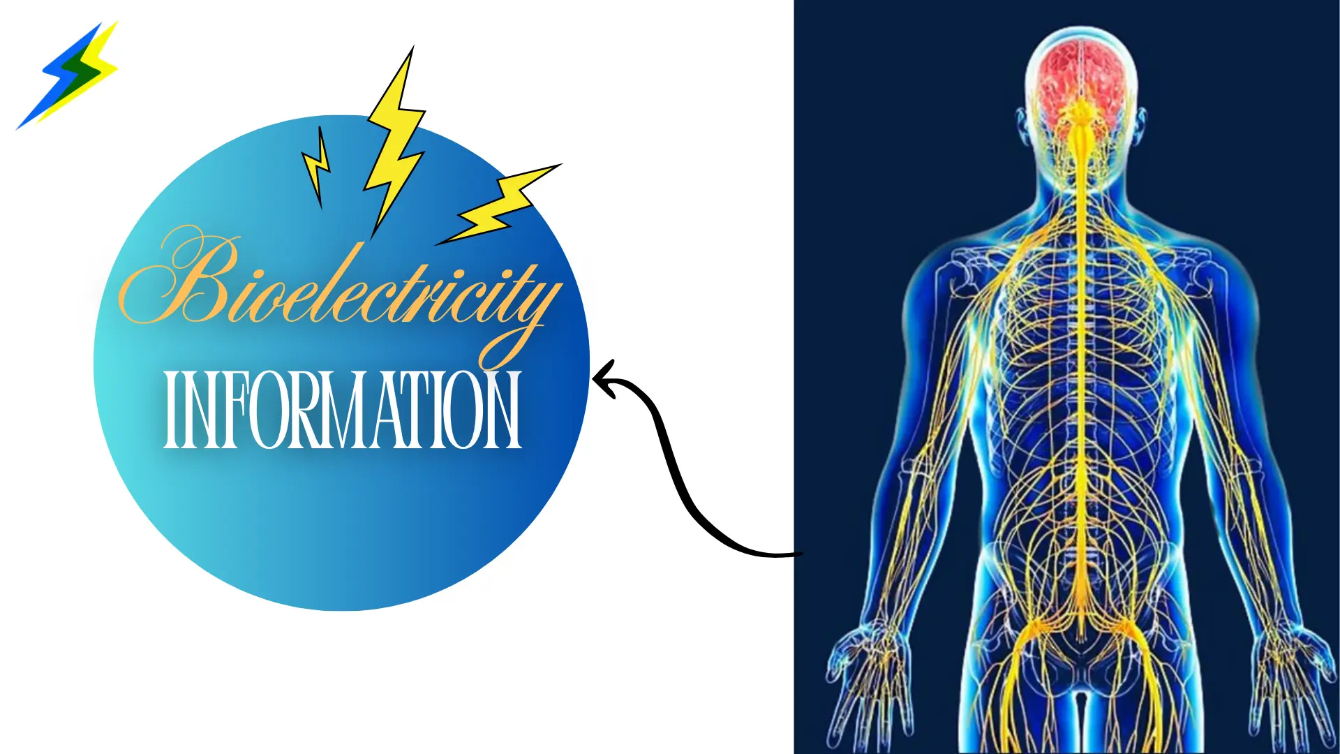 Bioelectricity Information in Marathi